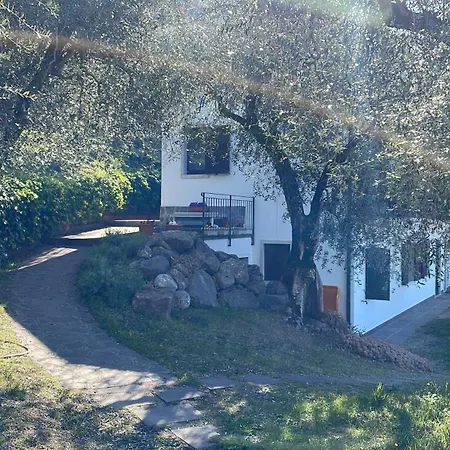 Etti's House